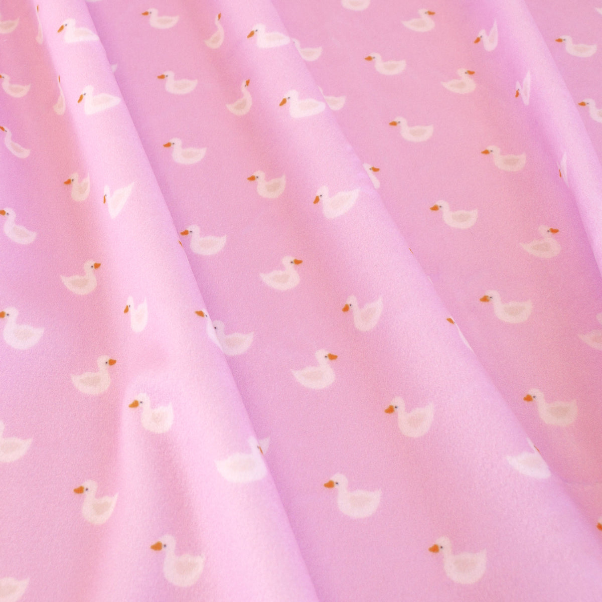 Ducks