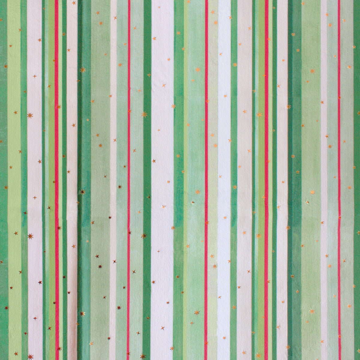 Holly Stripe