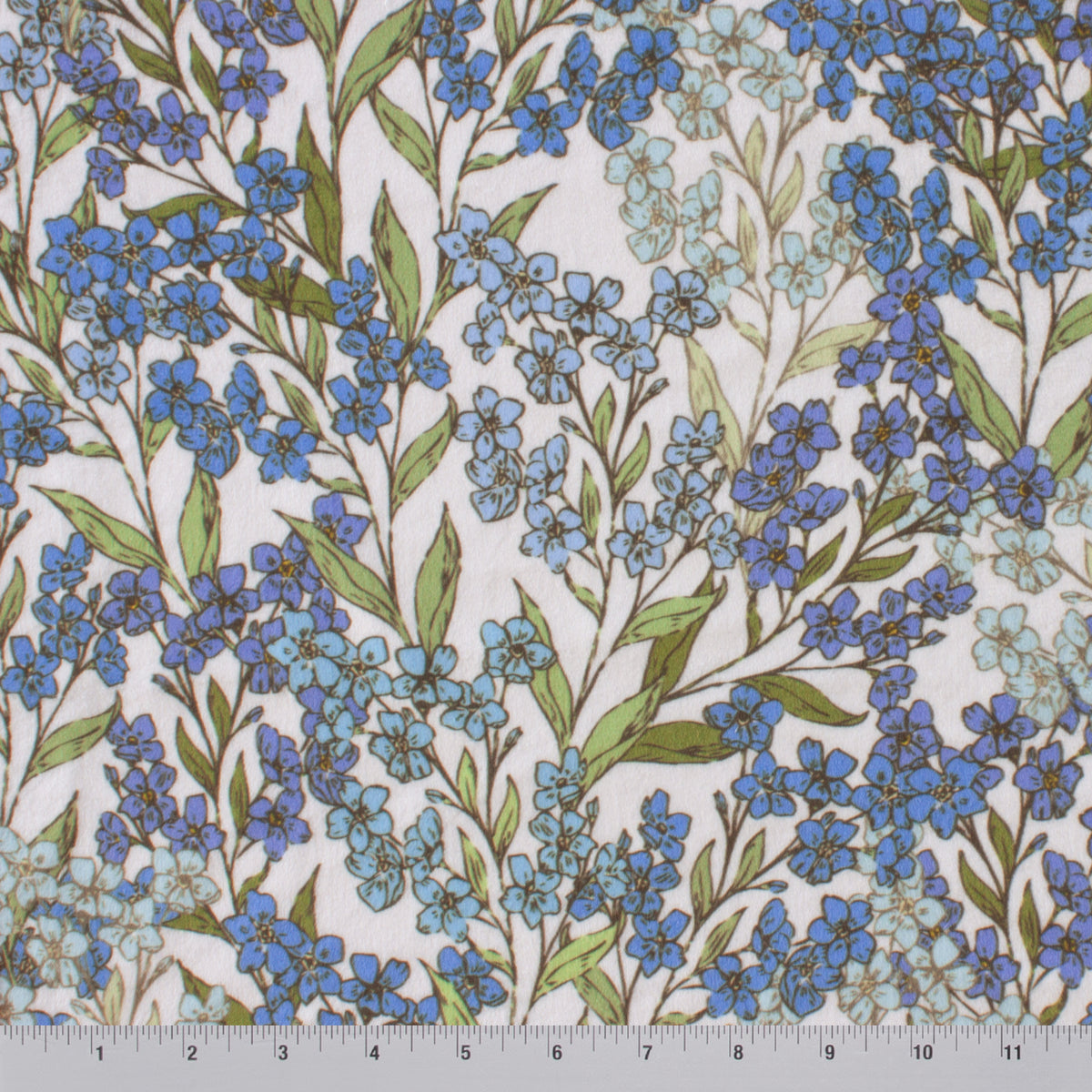 Wild Forget-Me-Nots