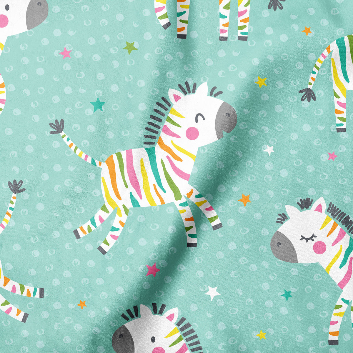 Rainbow Zebra