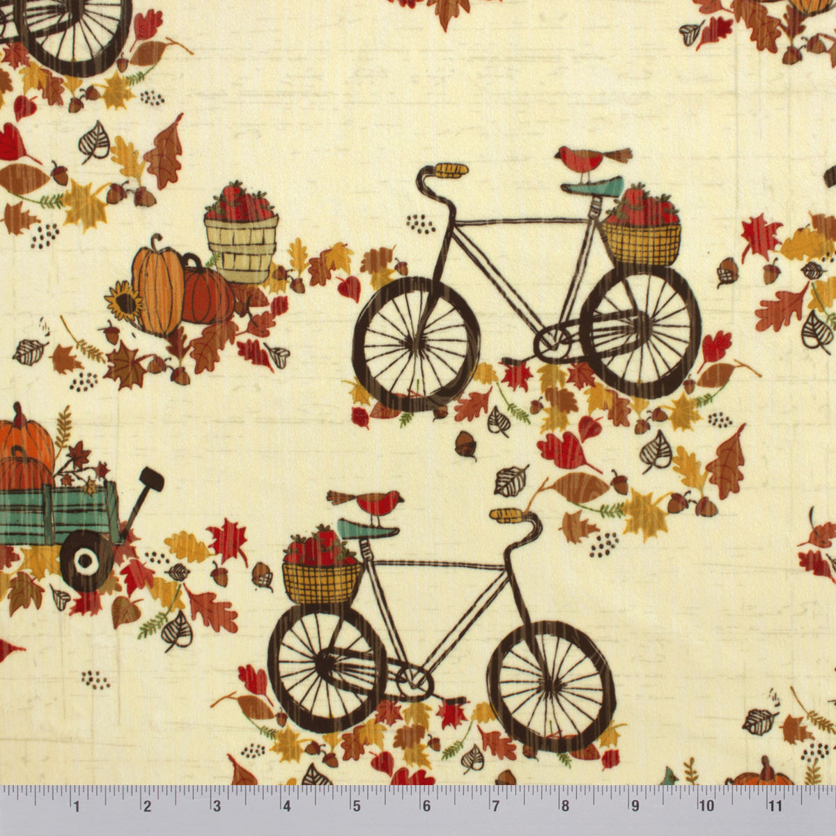 Autumn Bicycle Ride | Thanks Living