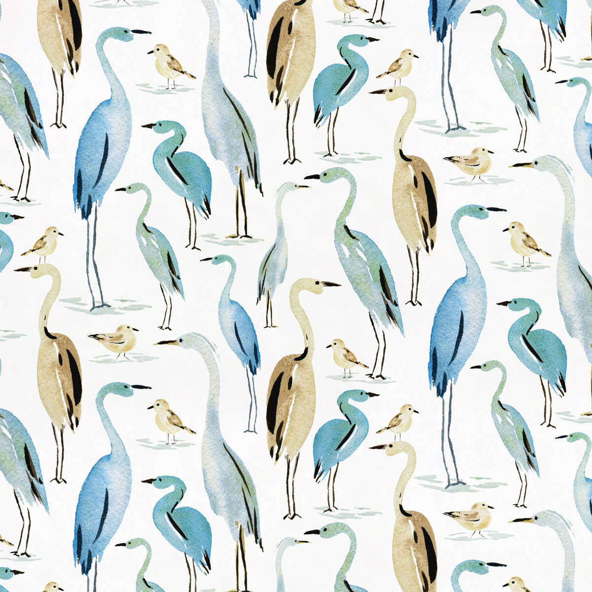 Coastal Birds | Weekend Getaway