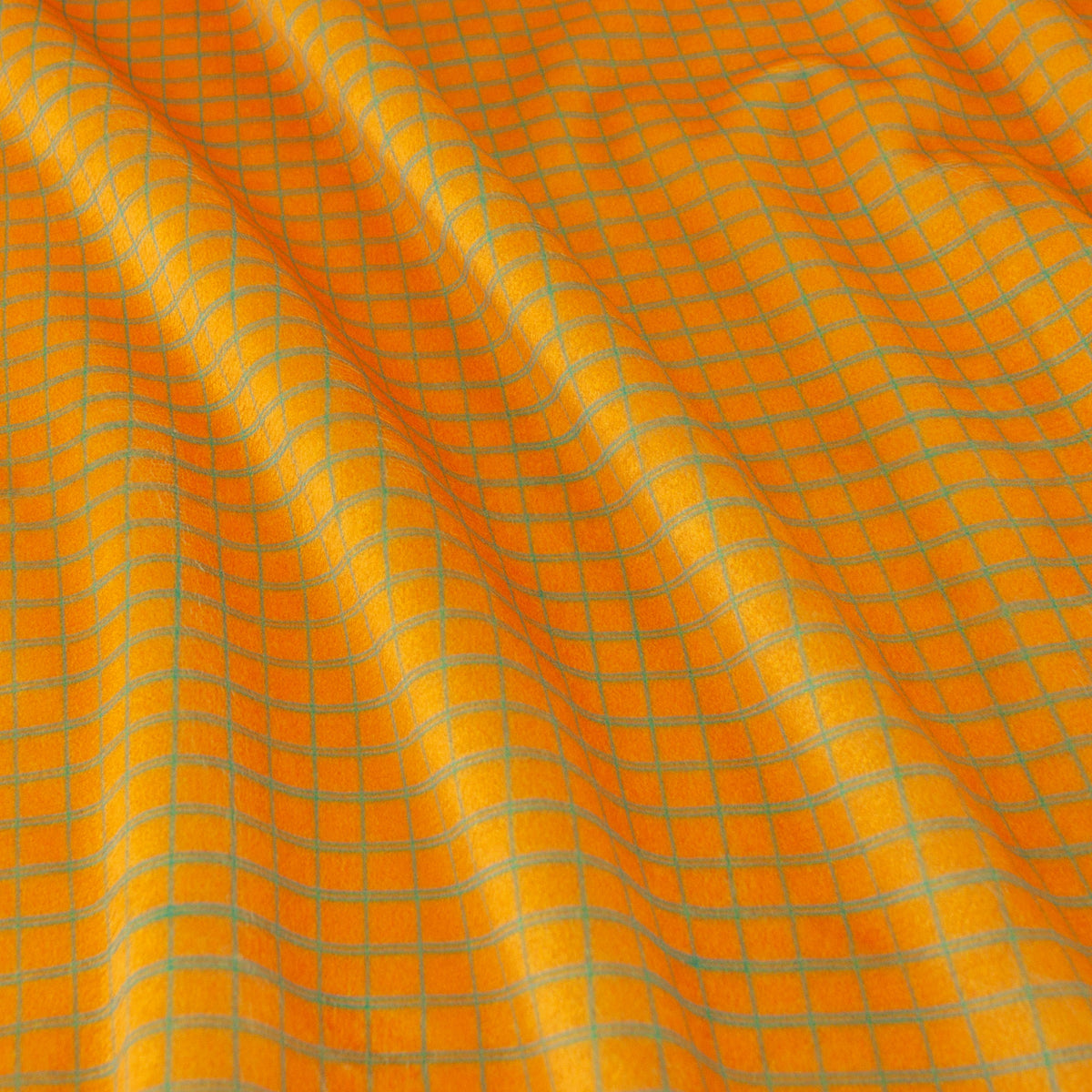 Double-Lined Graph | Buzzy as a Bug
