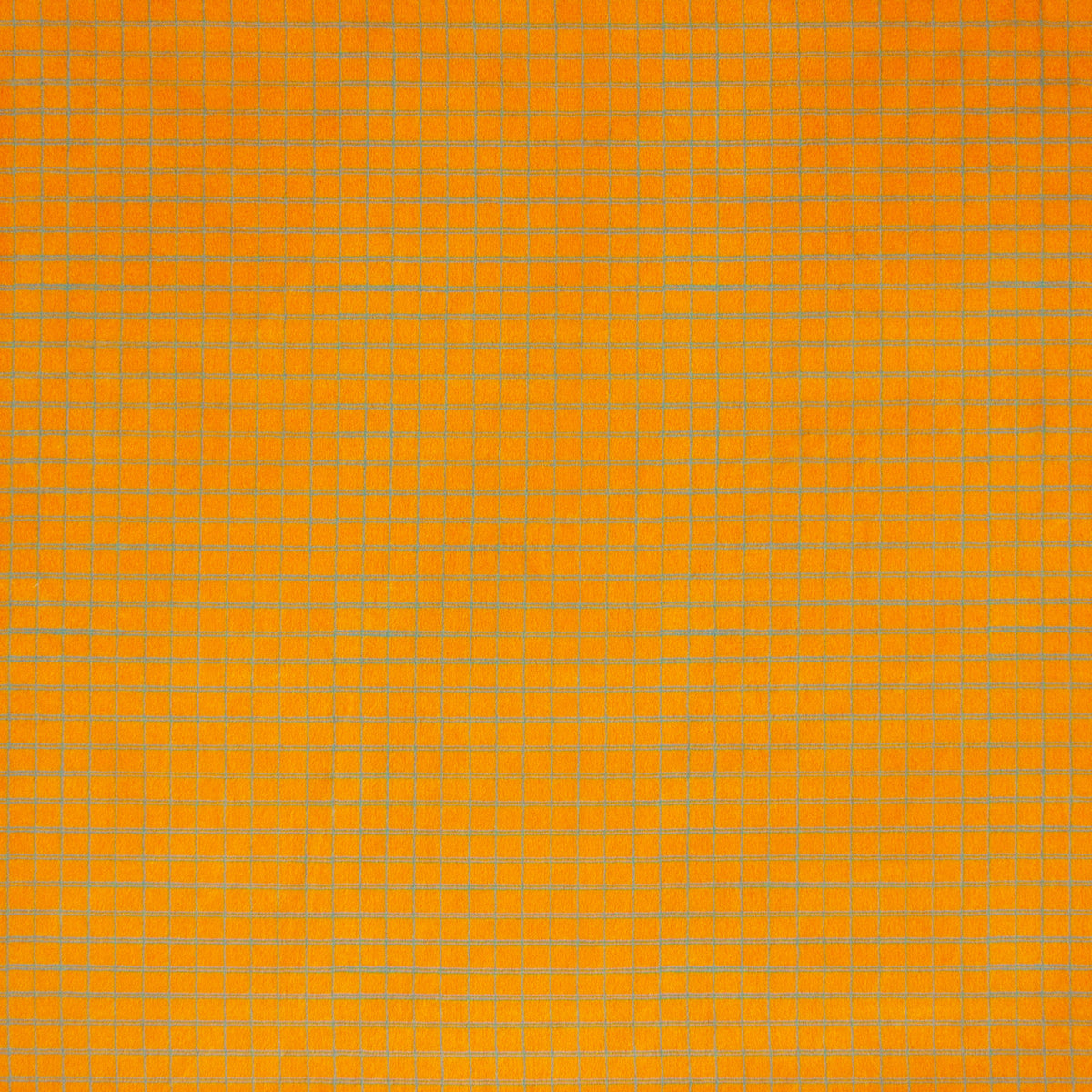 Double-Lined Graph | Buzzy as a Bug