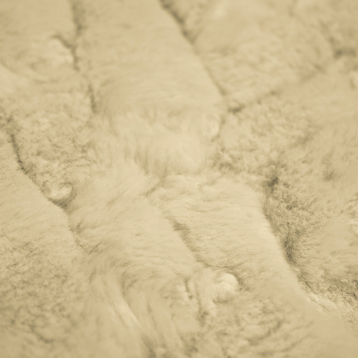 Lorenzo Snuggle - Being Discontinued