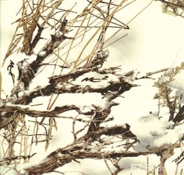 True Timber White on Minky Fabric by EZ Fabric